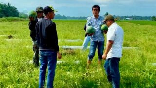 Apdesi Sulsel Apresiasi Kejari Lutim, Satukan Penegakan Hukum dan Ketahanan Pangan