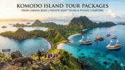 The Ultimate Guide to Komodo Island Tour Packages from Labuan Bajo